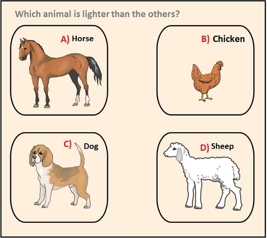 Math 1st grade weight measurement sample question